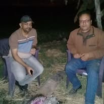 معرض الصور